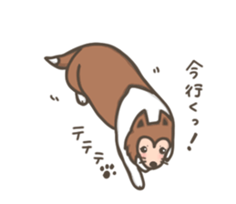 Sheltie Chess sticker #3381867