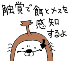 Beetles Maruo sticker #3387238