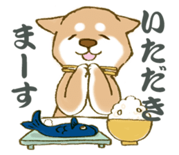 Shiba dog NENE spends warm one day sticker #3388851