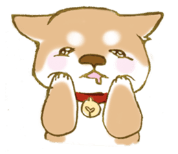 Shiba dog NENE spends warm one day sticker #3388852