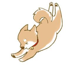 Shiba dog NENE spends warm one day sticker #3388854