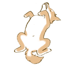 Shiba dog NENE spends warm one day sticker #3388855