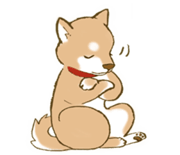 Shiba dog NENE spends warm one day sticker #3388856