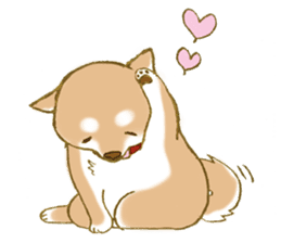 Shiba dog NENE spends warm one day sticker #3388857