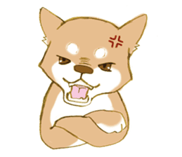 Shiba dog NENE spends warm one day sticker #3388862