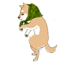 Shiba dog NENE spends warm one day sticker #3388870