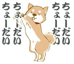 Shiba dog NENE spends warm one day sticker #3388872