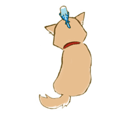 Shiba dog NENE spends warm one day sticker #3388876