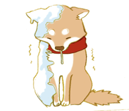 Shiba dog NENE spends warm one day sticker #3388881
