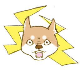 Shiba dog NENE spends warm one day sticker #3388887