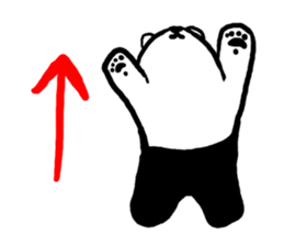 Tights-kuma sticker #3389439