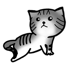 Memo, the Lovable Cat