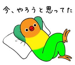 nonchuCockatoo sticker #3394419