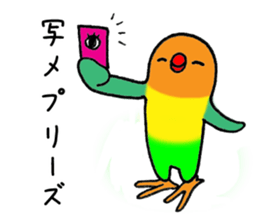 nonchuCockatoo sticker #3394437