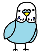 Full of birds sticker #3398213