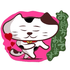 Flatter!tortoiseshell cat! 2