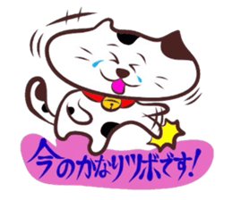 Flatter!tortoiseshell cat! 2 sticker #3399337