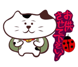 Flatter!tortoiseshell cat! 2 sticker #3399348