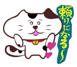 Flatter!tortoiseshell cat! 2 sticker #3399350