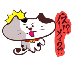 Flatter!tortoiseshell cat! 2 sticker #3399351