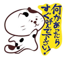 Flatter!tortoiseshell cat! 2 sticker #3399354