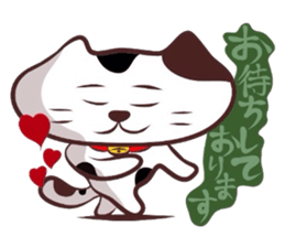 Flatter!tortoiseshell cat! 2 sticker #3399358