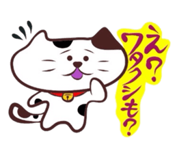 Flatter!tortoiseshell cat! 2 sticker #3399364