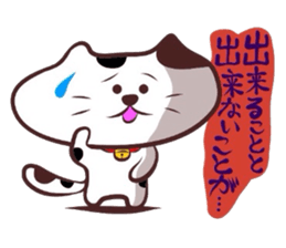 Flatter!tortoiseshell cat! 2 sticker #3399369