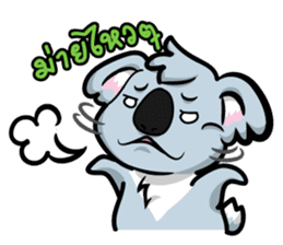 Kokoala sticker #3401173