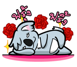 Kokoala sticker #3401177