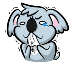 Kokoala sticker #3401183