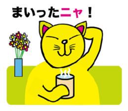 little cat sticker #3401894