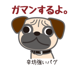 Sticker full of dogs sticker #3403957