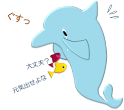 Daily dolphins sticker #3404396