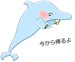 Daily dolphins sticker #3404399