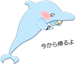 Daily dolphins sticker #3404399