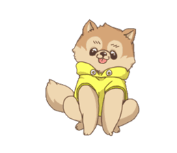 Pomeranian of my house sticker #3412915