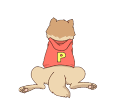Pomeranian of my house sticker #3412918