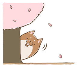 365 days of Toshio -Spring- sticker #3413175