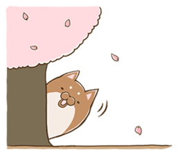 365 days of Toshio -Spring- sticker #3413175