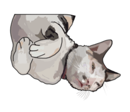 Richie cat 01 sticker #3414627