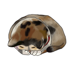 Richie cat 01 sticker #3414629