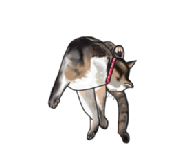 Richie cat 01 sticker #3414633