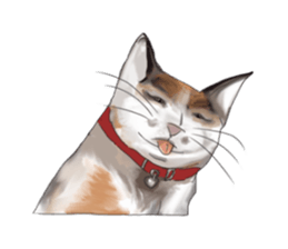 Richie cat 01 sticker #3414637