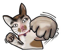 Richie cat 01 sticker #3414639