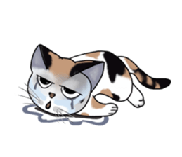Richie cat 01 sticker #3414642