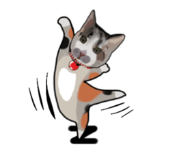 Richie cat 01 sticker #3414643