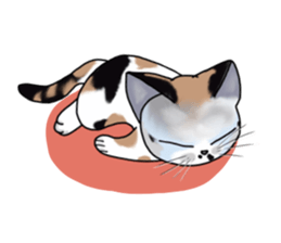 Richie cat 01 sticker #3414647