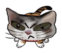 Richie cat 01 sticker #3414649