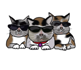 Richie cat 01 sticker #3414650